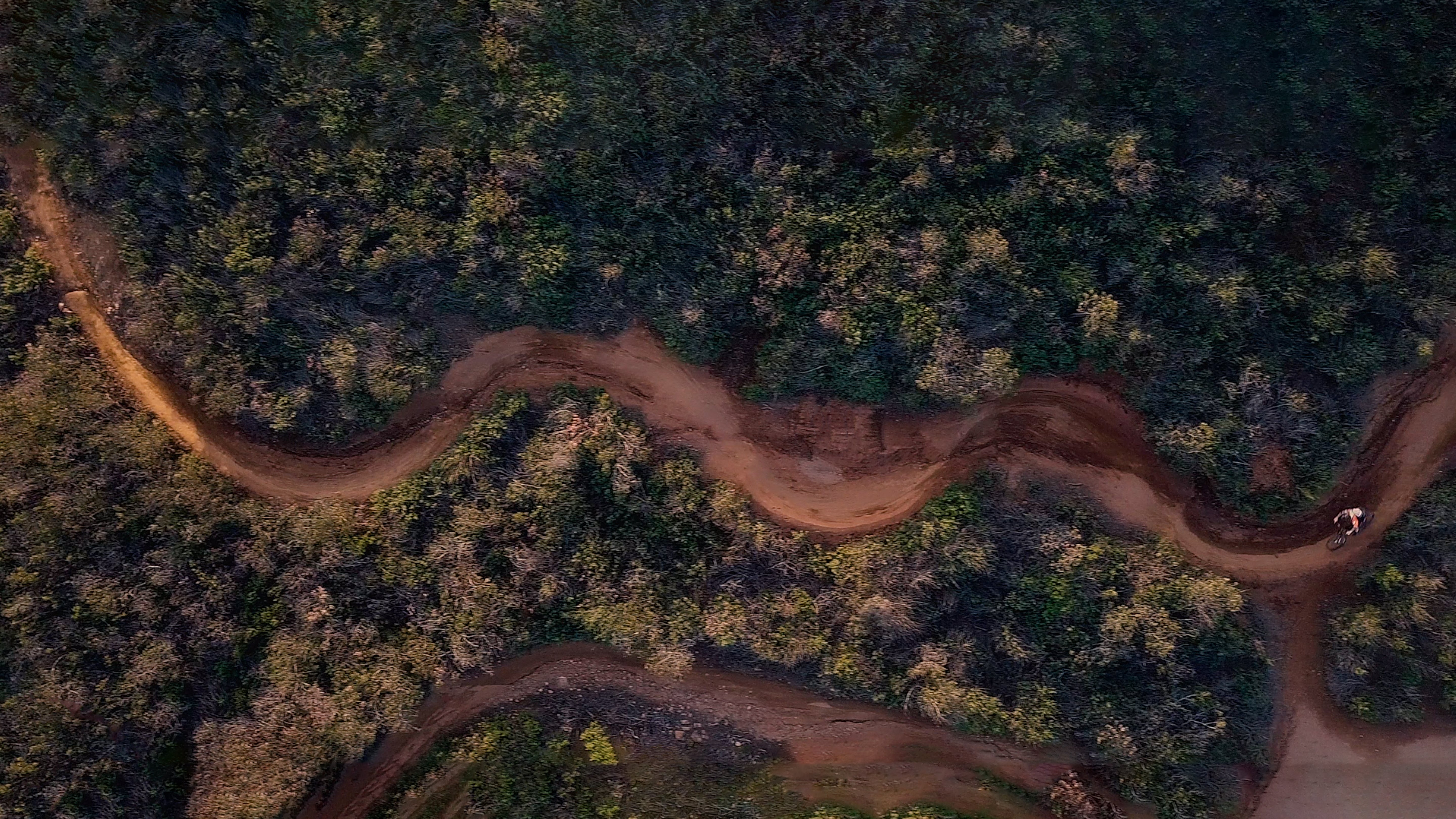 Tommy Zula: Ride Everything